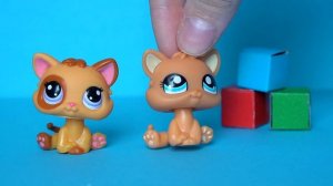 LPS: МОИ МАЛЕНЬКИЕ lps / LPS обзор 2021