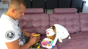 ШЕРЛОК СПАС БАТЮ. БРОС ШОУ ПЕТ