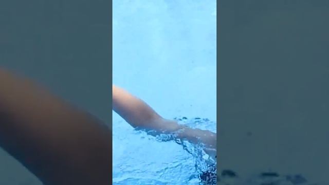 TELEFONUM HAVUZA DÜŞÜYORDU ! @merteren1 смотреть онлайн