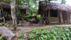 PRIMITIVE SKILLS; Home collapsed! Duong despaired and searched for the cause