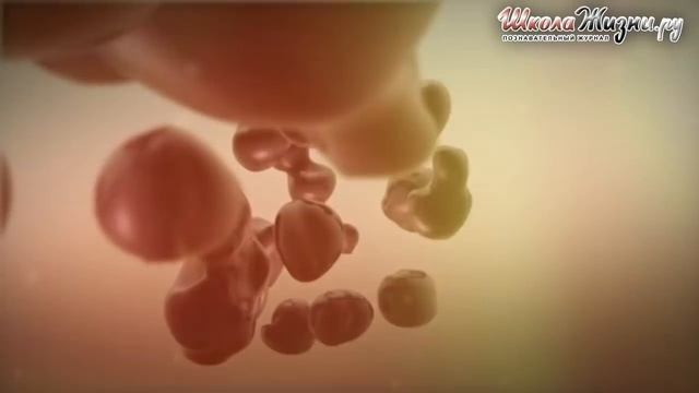 Перекись Водорода - от всех Болезней смотреть онлайн