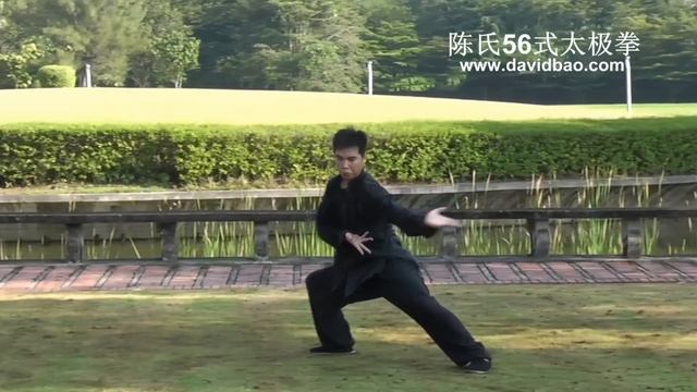 Chen-style Tai Chi 56 Form (陈氏56式太极拳) смотреть онлайн