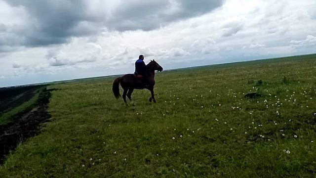 Русский тяжеловоз ч3 смотреть онлайн