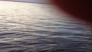 Рыбалка на озере Салтаим 30-31.05.2015 Saltaim Omsk Region