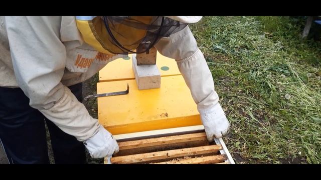 Спасаем отводки и слабые семьи. Весна 2020. смотреть онлайн