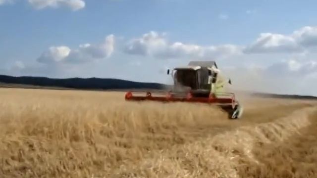 CLAAS MEGA 360 Winter rye /// CLAAS MEGA 360 Озимая рожь смотреть онлайн