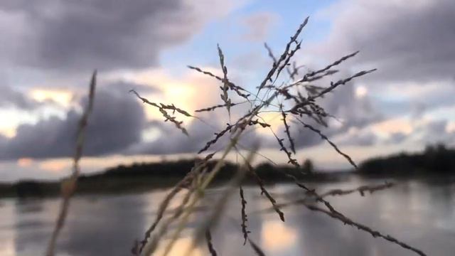 Experience - Ludovico Einaudi (Only Violin Part) смотреть онлайн