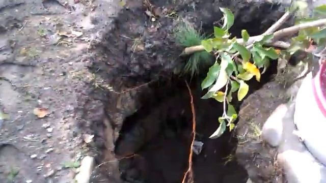 Замулило колодец смотреть онлайн