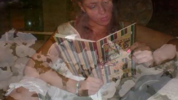 Лети,моя ПТИЦА...