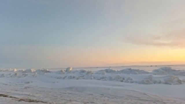 Public agent смотреть онлайн