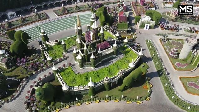 Drone View Of ''DUBAI MIRACLE GARDEN'' #msajjad #dubai #miracle #garden