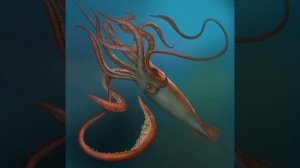 12 больших морских обетателей! 🦈🐡🐠🐟🐬🐋🐳!