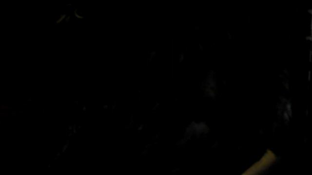 От гибели спасли сову и она обрела новую жизнь на свободе Серая Неясыть смотреть онлайн