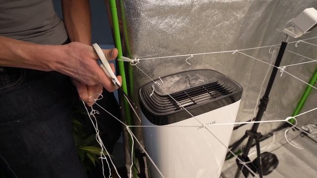 HOW TO SCROG смотреть онлайн