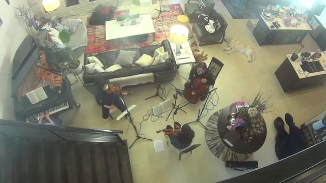 Dvorák Bagatelle Op.47 - 2. Tempo Di Menuetto. Grazioso