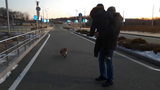 Голодная лиса) смотреть онлайн