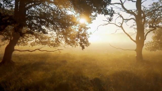 Стихотворение "Ростомер поэта". Читает автор Харламова Алина смотреть онлайн