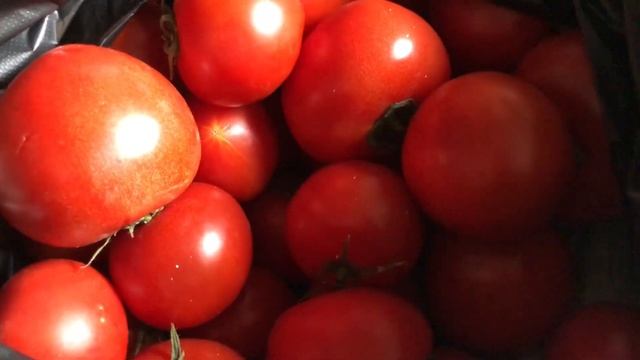Мой рацион на данный момент смотреть онлайн
