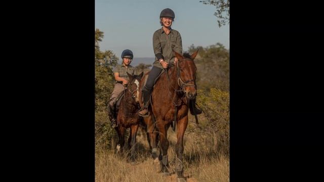 Game Census 2022 смотреть онлайн