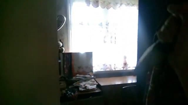 Бандиты захватили мою дачу