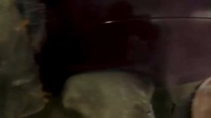 Правильное нанесение акриловой автоэмали.Моё видение.Прекрасный результат.