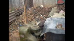 сбор кедрового ореха, переработка. как это было раньше. заработок на Дальнем востоке.