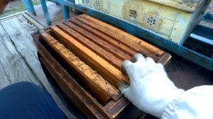 Подсиливание слабых семей. Самый простой способ.