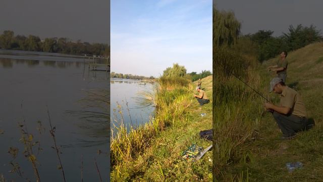 судачок в гребенках смотреть онлайн