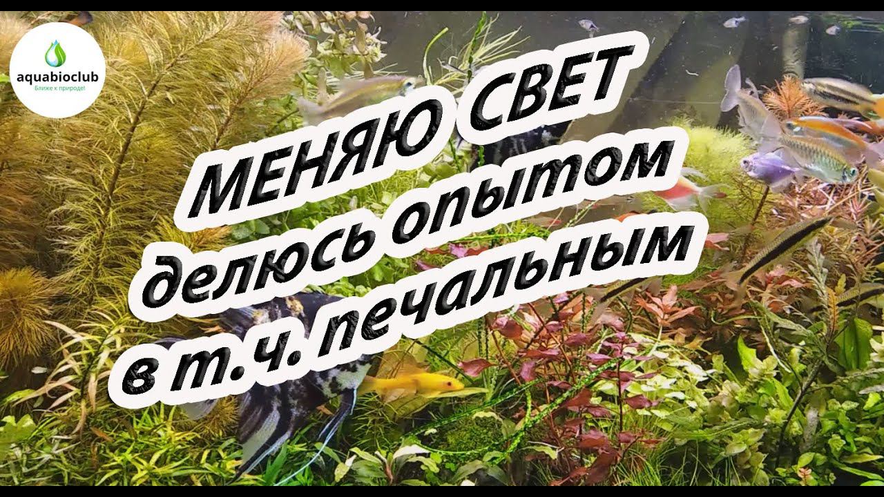 Меняю свет в аквариуме, делюсь опытом, в т.ч. негативным. смотреть онлайн