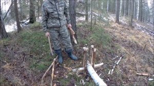 "Кулёмка на Соболя на Земле".