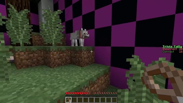 Minecraft - Diversity 3 - Community Knowledge (Trivia / Quiz) смотреть онлайн