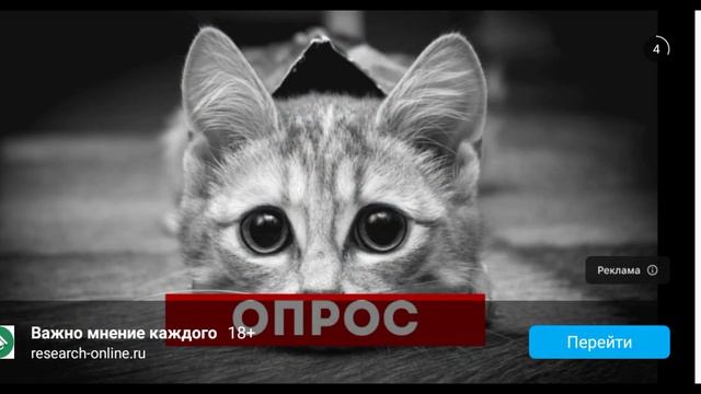 Егор на драйве номер 2 как вам смотреть онлайн