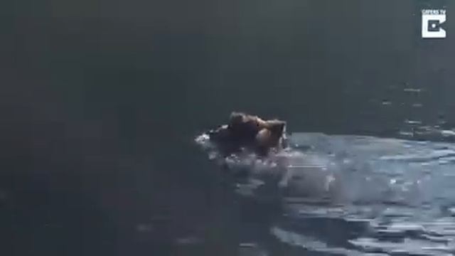 Вагон смеха смотреть онлайн