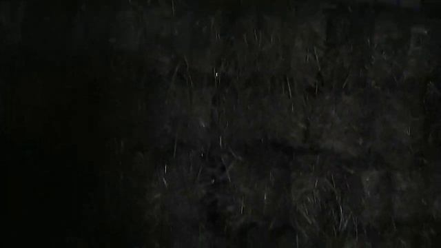 Мотоблоком в дело) смотреть онлайн