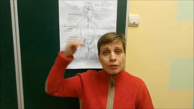 Гармоны. Эндокринная регуляция. Важные темы ЗНО. смотреть онлайн