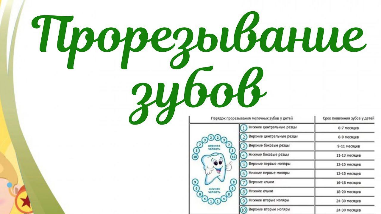 Прорезывание зубов у грудничков.Сроки прорезывания и первые симптомы.