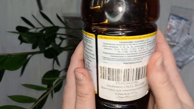 Активный рост ЗАМИОКУЛЬКАСА! Чем полить ЗАМИОКУЛЬКАС, чтобы стимулировать, 5 новых листов за 1 меся смотреть онлайн