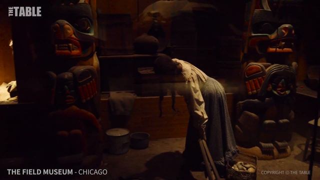 CHICAGO - The Field Museum of Natural History, Downtown Chicago, Illinois, USA, Travel, 4K UHD смотреть онлайн