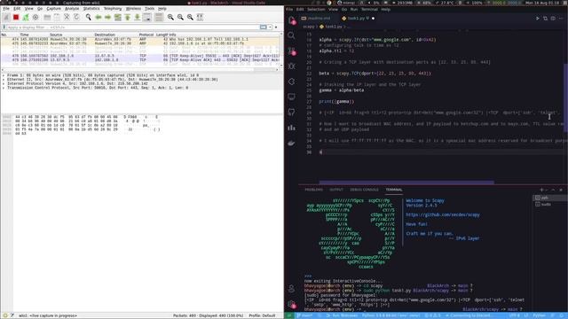ISAA Task 1: Scapy and Wireshark Demonstration смотреть онлайн