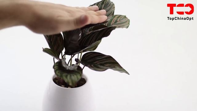 SMART Music Flowerpot. Музыкальный цветочный горшок. смотреть онлайн