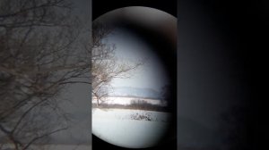 Бинокль БПЦ 20×50 Bercut,Сравнение на дальность.