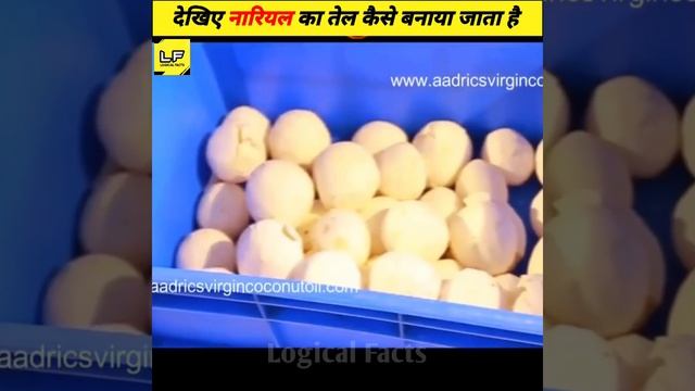 देखिए नारियल? तेल कैसे बनाया जाता है @LogicalFactsShorts @MRINDIANHACKER @CrazyXYZ #shorts смотреть онлайн