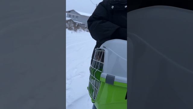 Результаты обследования ? смотреть онлайн