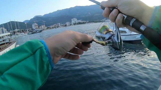 Micro jigging - Small barracudas C&R on Duo Tetra jig 7g смотреть онлайн