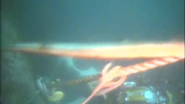 JS Watch co. Reykjavik Promotional dive.mov смотреть онлайн