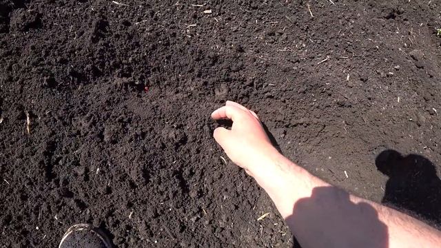 Посев Кукурузы на Зерно в Апреле / Кукурузное Поле / Посевная 2022 смотреть онлайн