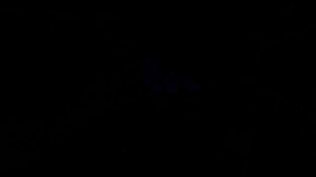 Legends of Aria: Dark Sorcery DLC Announcement смотреть онлайн
