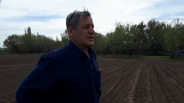 Заморозки до -4 С, пересевать или нет Подсчет густоты, определение поврежденных растений. смотреть онлайн