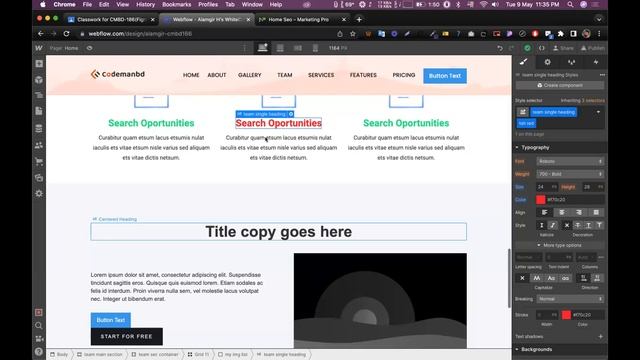 Use of Class + Combo Class & Hover Effect || Alamgir (Figma & WebFlow) смотреть онлайн
