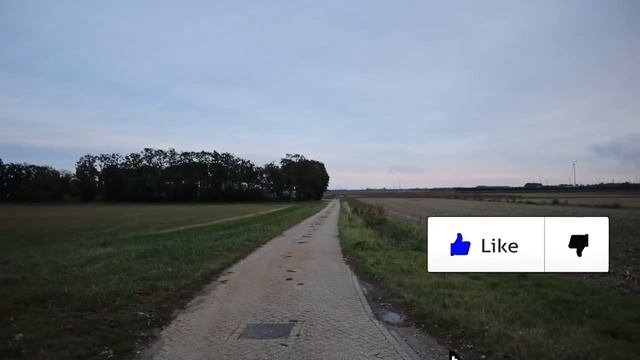 ТОП 100 СИРЕНОГОЛОВЫЙ снятый на КАМЕРУ смотреть онлайн